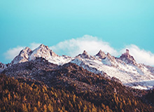 lpl比赛安排-一冠一亚后奥帅憧憬外战 苏宁要用亚冠拴住他的心